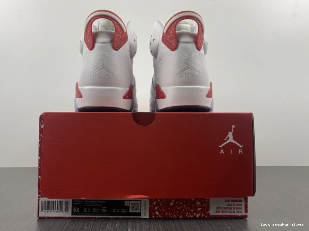 Reps LUCY 6 Jordan CT8529-162 Retro Hare 0713